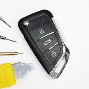 Wegfahrsperre & Fernbedienung